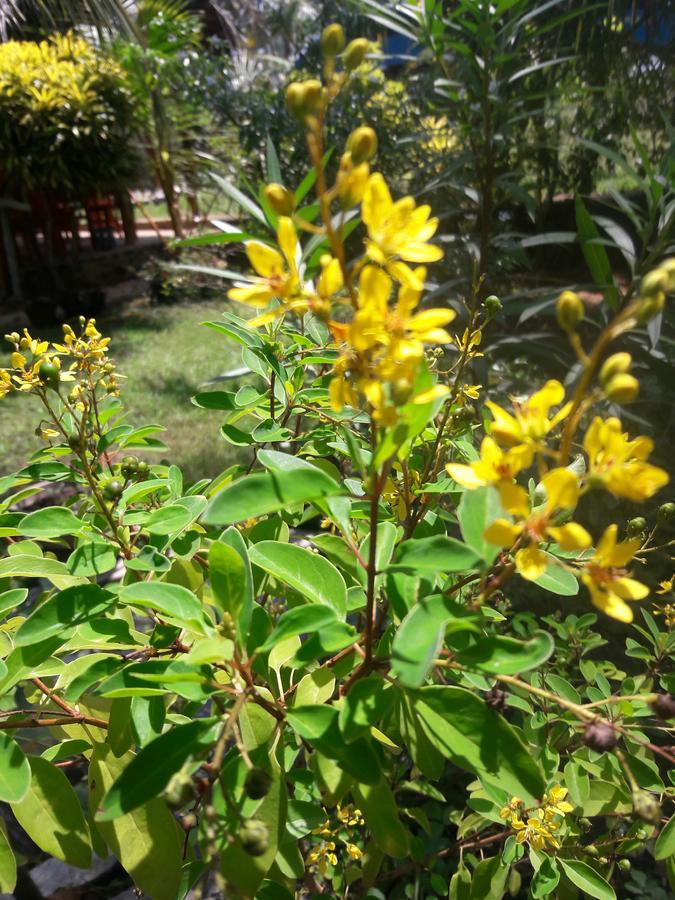 Natural Cabanas Kanattagoda Ngoại thất bức ảnh